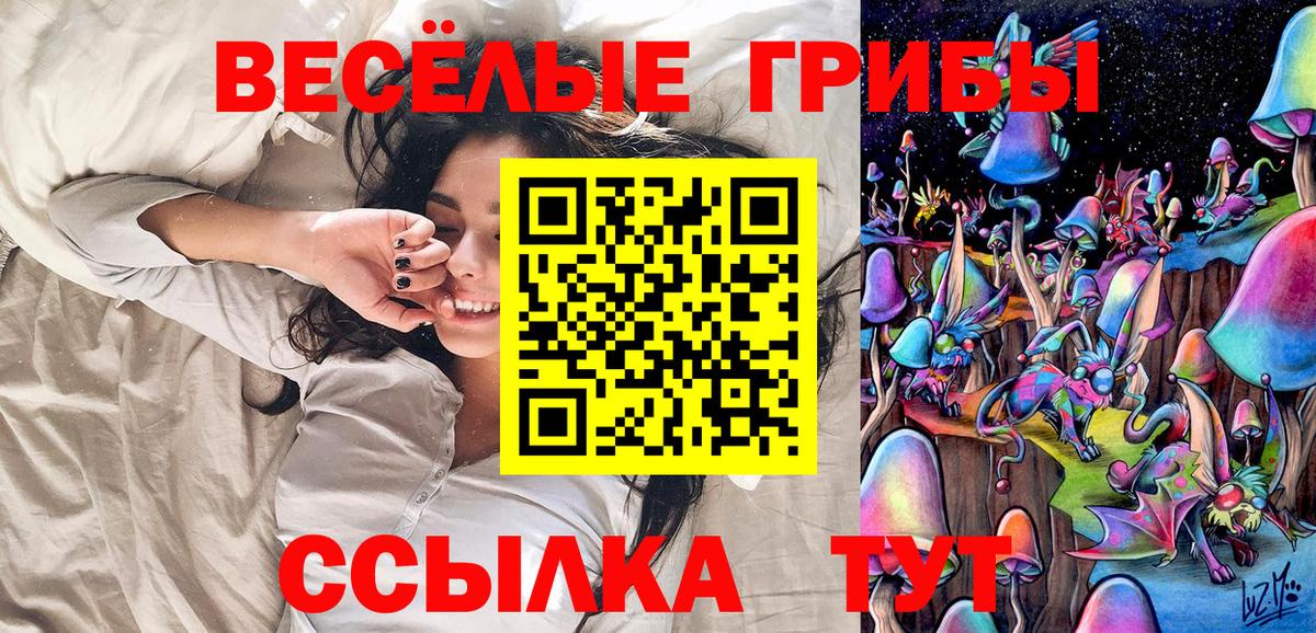 Галлюциногенные грибы Psilocybine cubensis  где можно купить наркотик  Кинешма  Вход с VPN  Галлюциногенные грибы мицелий 